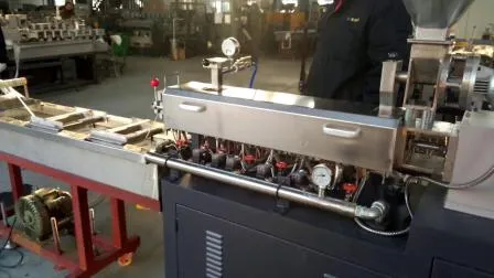 Tse30 Corotating Twin Screw Compounding Extruder for Lab